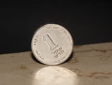 שקל חדש אחד