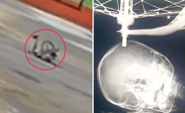 גלגל אופניים